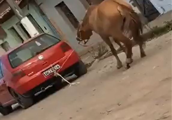 Cavalo é puxado por carro com uma corda presa ao pescoço em rua de